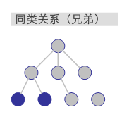 同类关系（兄弟）