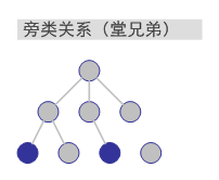 旁类关系（堂兄弟）